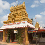 Four Days in Dharwad