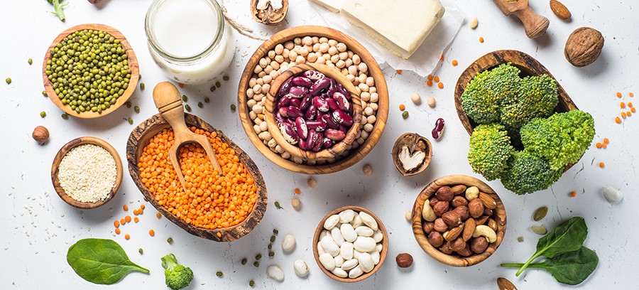 The Truth about Protein